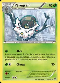 Carte Pokémon