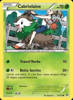 Carte Pokémon