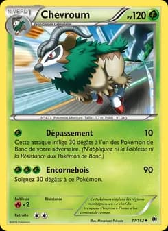 Carte Pokémon