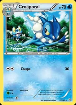 Carte Pokémon