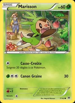 Carte Pokémon