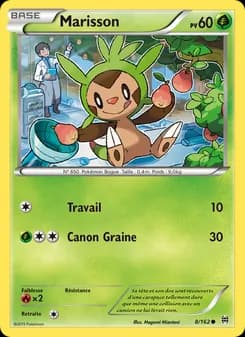 Carte Pokémon