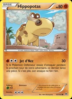 Carte Pokémon
