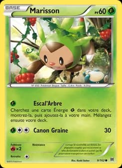 Carte Pokémon