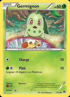 Carte Pokémon