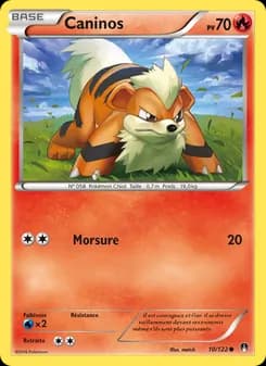 Carte Pokémon