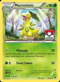 Carte Pokémon