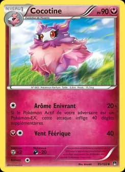 Carte Pokémon