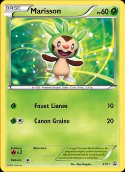 Carte Pokémon