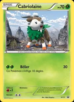 Carte Pokémon