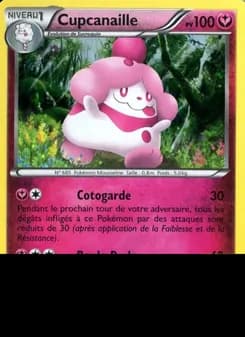 Carte Pokémon