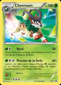Carte Pokémon