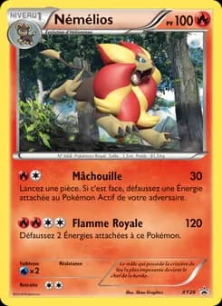 Carte Pokémon