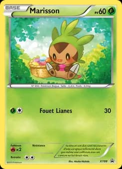 Carte Pokémon