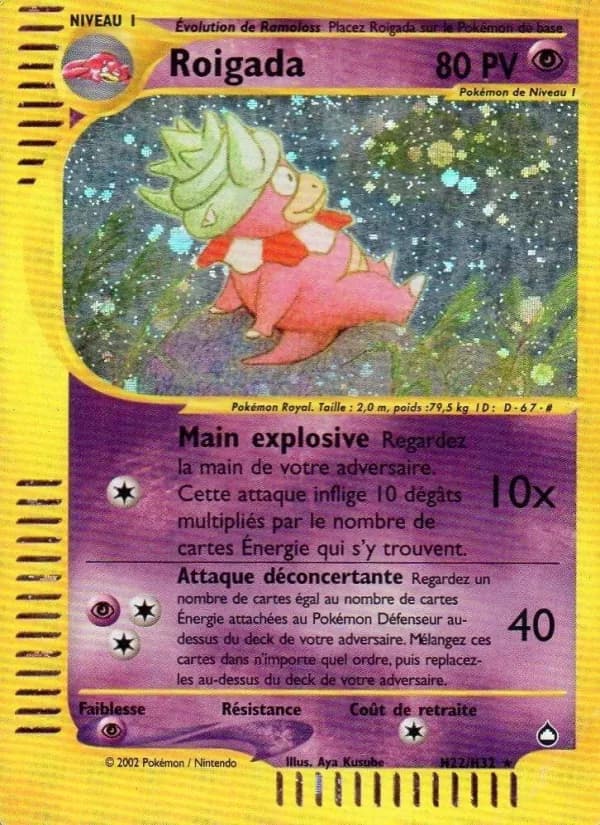 Roigada