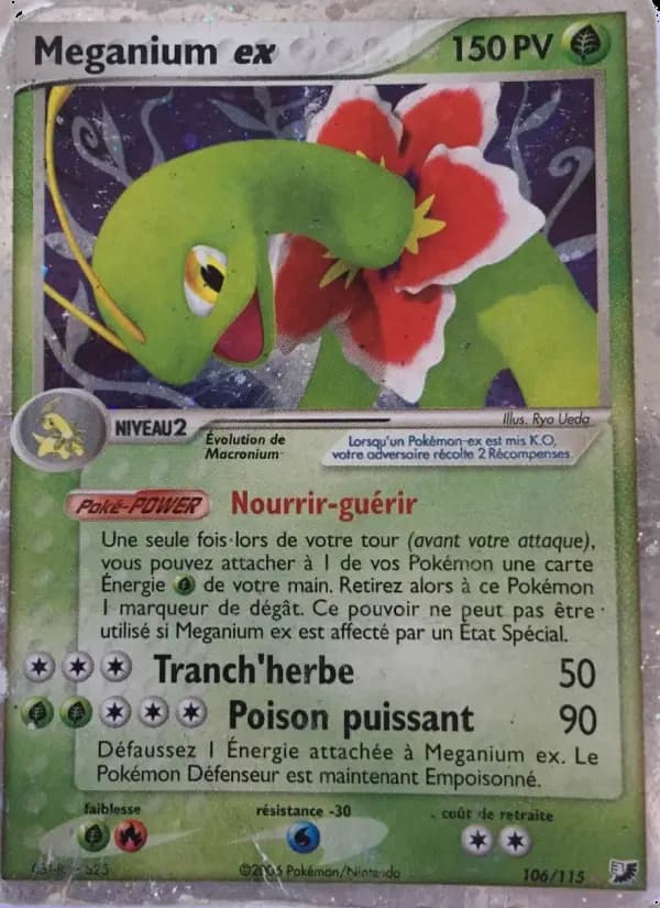 Meganium ex