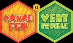 EX Rouge Feu & Vert Feuille