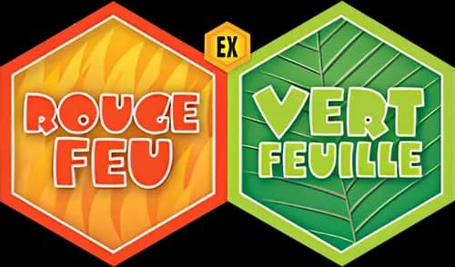 EX Rouge Feu & Vert Feuille