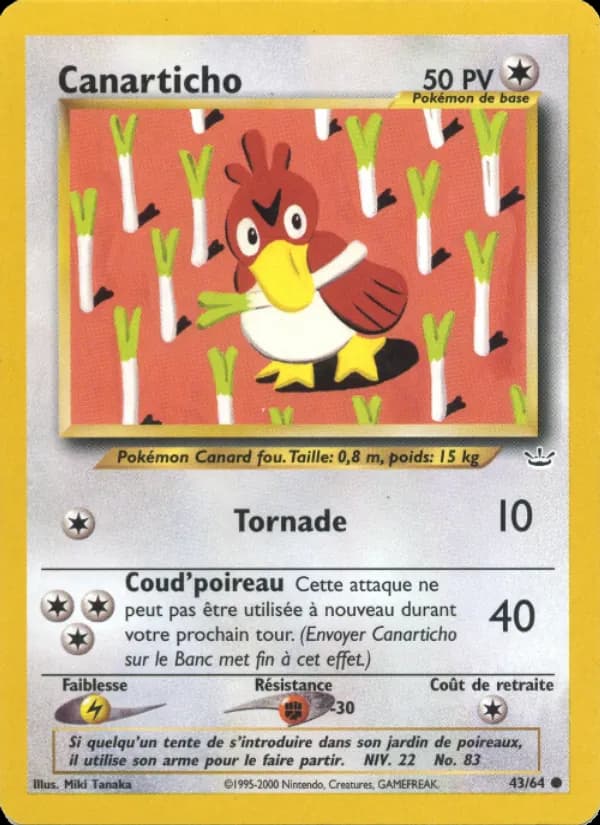 Canarticho