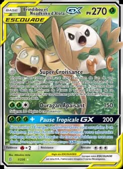 Brindibou et Noadkoko d’Alola GX