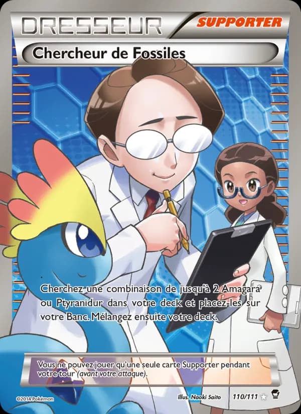 Chercheur de Fossiles