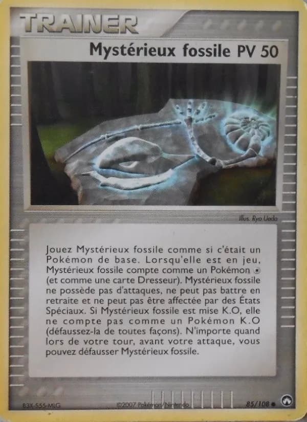 Mystérieux fossile