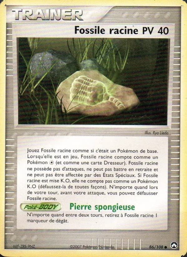 Fossile racine