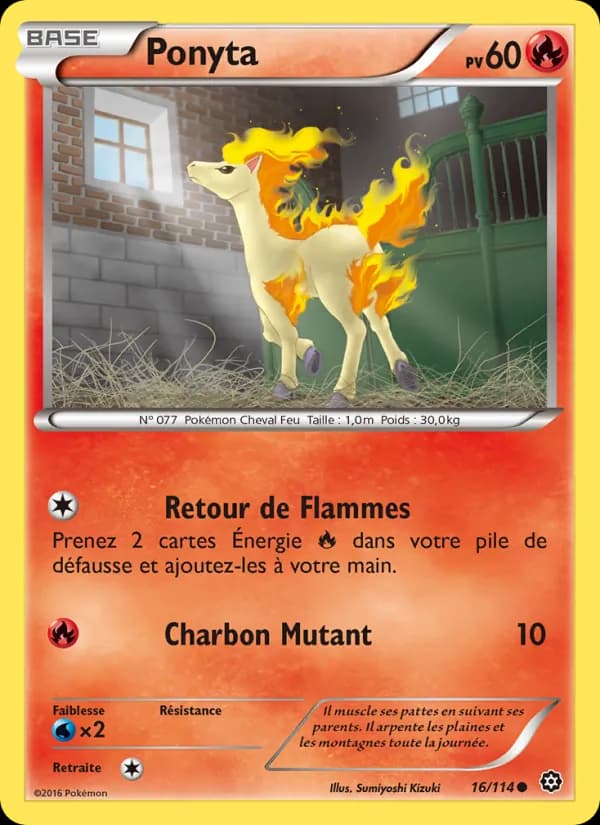 Ponyta